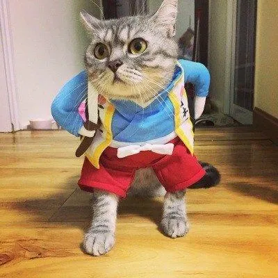 Cat Halloween’s Costumes - Stand-Up Costumes