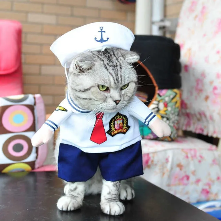 Cat Halloween’s Costumes - Stand-Up Costumes