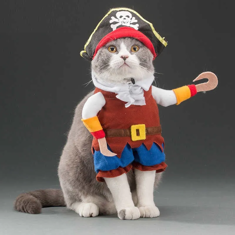 Cat Halloween’s Costumes - Stand-Up Costumes